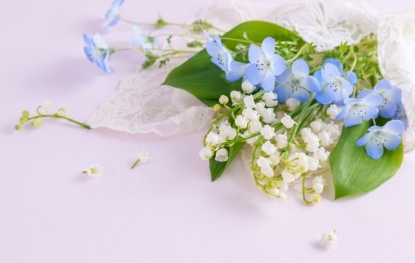 花束(ピンク背景）